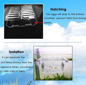 img 3 attached to 🐠 Capetsma Fish Breeding Box: Premium Acrylic Isolation with Suction Cups for Baby Fish, Shrimp, Clownfish, and Guppy – Ideal Aquarium Acclimation Hatchery Incubator