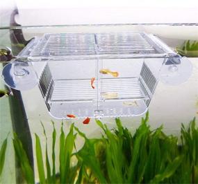 img 4 attached to 🐠 Capetsma Fish Breeding Box: Premium Acrylic Isolation with Suction Cups for Baby Fish, Shrimp, Clownfish, and Guppy – Ideal Aquarium Acclimation Hatchery Incubator