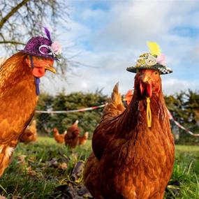 img 2 attached to 🎩 Feather Top Hat for Hens: 6-Piece Chicken Hats with Elastic Chin Strap for Funny Halloween Costumes, Tiny Pet Accessories - Ideal for Roosters, Ducks, Parrots, and Poultry Stylish Show