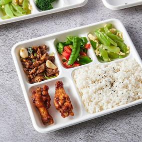 img 1 attached to 500 Pack 5 Compartment Plates, 100% Compostable Paper Plate, 10.25*8.5 Inch Disposable School Lunch Trays, Eco-Friendly Bagasse Plates For School Lunch, Buffet, And Party , Perfect For Boys And Girls