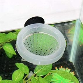 img 2 attached to POPETPOP 10Pcs Fish Feeder Aquarium