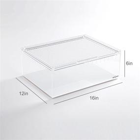 img 2 attached to 🐍 REPTI ZOO 16x12x6 Inch Magnetic Acrylic Enclosure - 5 Gallon Reptile Breeding Box Habitat Terrariums Cage Ideal for Tarantulas, Scorpions, Slings, Isopods, Lizards, Roaches, Invertebrates, Spiders, and Snakes