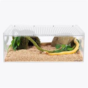 img 3 attached to 🐍 REPTI ZOO 16x12x6 Inch Magnetic Acrylic Enclosure - 5 Gallon Reptile Breeding Box Habitat Terrariums Cage Ideal for Tarantulas, Scorpions, Slings, Isopods, Lizards, Roaches, Invertebrates, Spiders, and Snakes