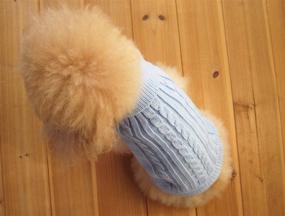 img 2 attached to 🐾 FAMI Turtleneck Classic Straw-Rope Sweaters for Small Dogs and Cats - Cozy Knitted Pet Sweater for Winter - Sky Blue, Size L