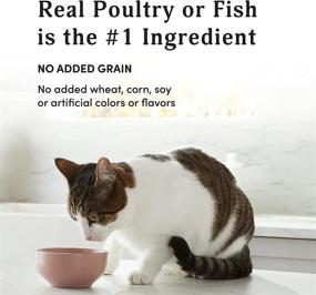 img 1 attached to Kitzy Wet Cat Food, Gravy, Grain Free, 3oz Pack of 24 - Salmon, Chicken, Tuna on Amazon