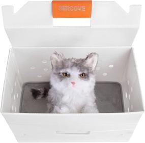 img 3 attached to 🏠 SERCOVE Plastic Pet Crate: Versatile, Durable, and Convenient Home Transportation Solution for Cats, Dogs, Rabbits, and Poultry - Fast to Clean, 1pcs/case