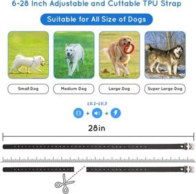 img 2 attached to 🐶 Ultimate Electric Underground Dog Fence System: IP66 Waterproof/Rechargeable Collar, Shock/Tone Correction - In-Ground Wired Pet Containment System