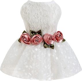 img 4 attached to 🌹 Fitwarm® Luxury Rose Lace Pet Dog Wedding Dress: Elegant Formal Apparel for Medium-sized Canines