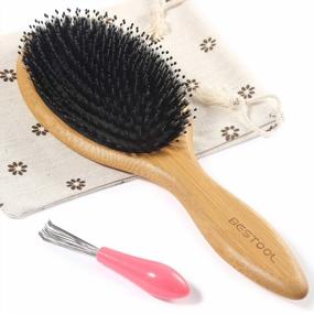 img 4 attached to BESTOOL Boar Bristle And Nylon Hair Brush - Ultimate Haircare Solution For Women, Men, And Kids: Wet/Dry Detangling, Smoothing, And Massaging; Enhances Hair Shine And Health Every Day