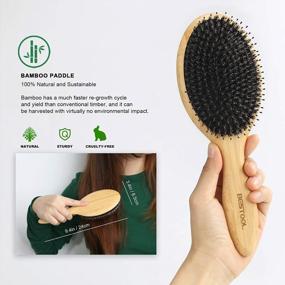 img 2 attached to BESTOOL Boar Bristle And Nylon Hair Brush - Ultimate Haircare Solution For Women, Men, And Kids: Wet/Dry Detangling, Smoothing, And Massaging; Enhances Hair Shine And Health Every Day