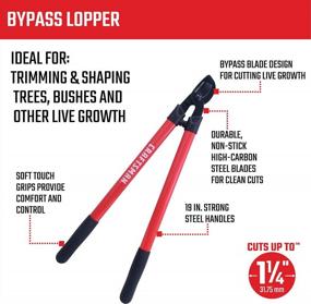 img 3 attached to CRAFTSMAN 24 Inch Bypass Lopper CMXMCBA1000, Red