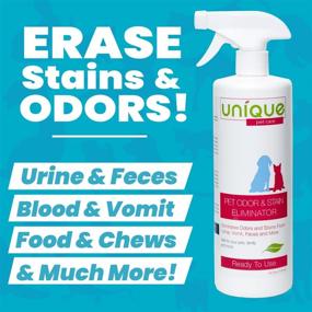 img 3 attached to 🐾 Advanced 24 oz. Ready to Use Bio-Enzymatic Formula: Eliminates Old and New Pet Odor and Stains – Ultimate Solution for Unique Pet Odor and Stain Elimination