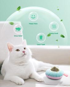 img 2 attached to 6Pcs Catnip Toys Set - Rattle Sound, Pillows & Fruits For Indoor Cats Interactive Play!