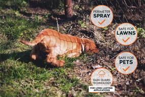 img 3 attached to 🐶 Dig Free Zone! Effective Dog Digging Deterrent Spray. Prevent Dogs from Digging. Pet-Safe. Eco-Friendly. Rain Resistant Formula.