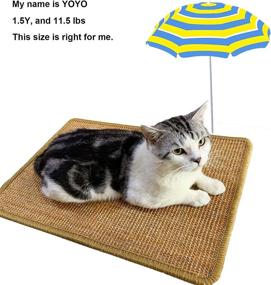 img 1 attached to 🐾 PPHAO Large Cat Scratcher: Ultimate Indoor Sisal Scratching Pad to Prevent Furniture Damage