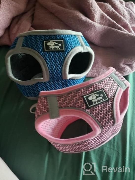 img 1 attached to Pink XS Dog And Cat Harness With Leash - Escape Proof, Reflective, And Comfortable Fit For Small To Medium Pets review by James Bartels