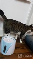 img 1 attached to Keep Your Pet Hydrated With The Tespo Cat Water Fountain: 2L Dispenser In Grey review by Justin Frazier