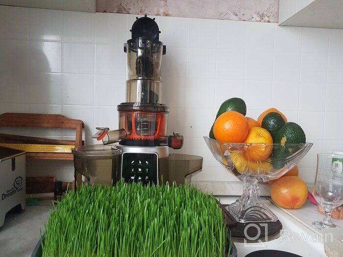 img 1 attached to RAWMID JDM-80 screw juicer, silver review by Felicja Krzywaska ᠌