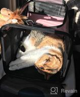 img 1 attached to Top Load Pet Carrier For Large, Medium Cats, 2 Cats And Small Dogs With Comfy Bed. Easy To Get Cat In, Escape Proof, Easy Storage, Washable, Safe And Comfortable For Vet Visit And Car Ride review by Divine Christmas