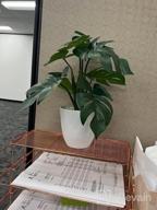 img 1 attached to Enhance Your Home Decor With Lifelike Artificial Plants - 2 Pack Of 16'' Faux Bird Of Paradise And Monstera Deliciosa Plants From KiddosLand review by Leroy Wolfe