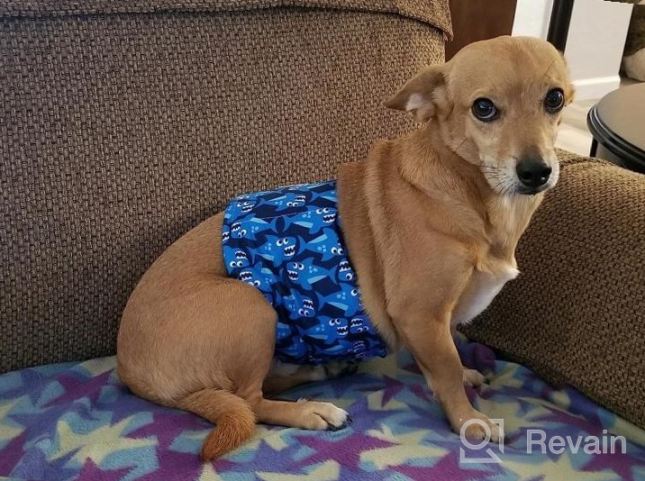 img 1 attached to CuteBone Male Dog Potty Training Belly Band, Leakproof Comfort 3-Pack (DM09XS) review by Brandon Hunter