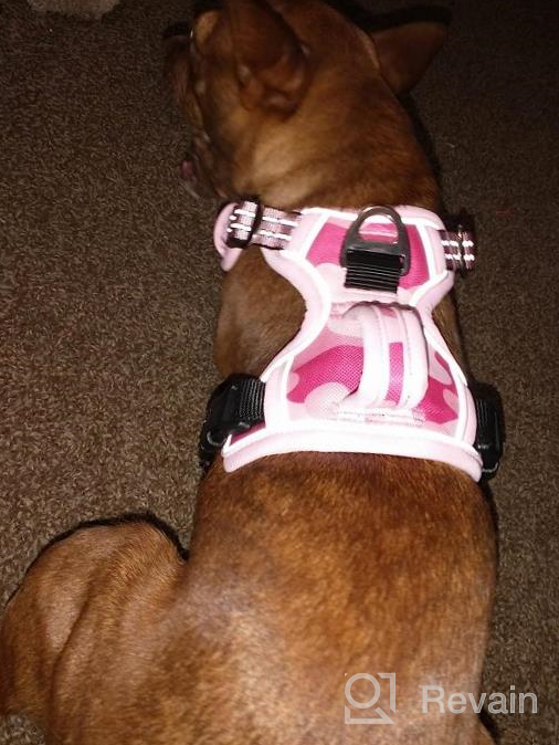 img 1 attached to 🐾 Premium No-Pull Dog Harness for Large Dogs with Handle, Reflective & Adjustable - Ideal for Medium to Large Breeds review by Aaron Hawk