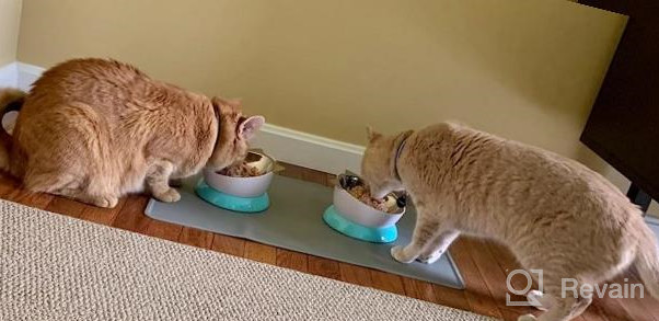 img 1 attached to Stainless Steel Elevated Cat Bowl – Tilted Cat And Small Dog Food Bowls To Improve Digestion And Reduce Neck Strain – Easy-To-Clean Cat Feeder With Sturdy, Nonslip Base By AmazinglyCat review by Tony Dago