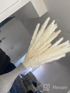 img 1 attached to Add A Touch Of Rustic Charm With EZDC'S 30 Stems Natural Dried Pampas Grass For Boho Home Decor And Plant Room Accents review by Stephen Mitchell
