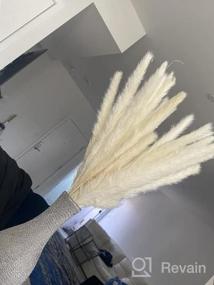 img 5 attached to Add A Touch Of Rustic Charm With EZDC'S 30 Stems Natural Dried Pampas Grass For Boho Home Decor And Plant Room Accents