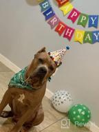 img 1 attached to Celebrate Your Pup'S Big Day With TCBOYING'S 11-Piece Dog Birthday Set – Blue Bandana, Hat, Scarf, Flags, Balloons & More! review by Kyle Whitehead
