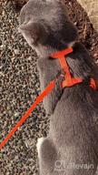 img 1 attached to Colorful PUPTECK Adjustable Cat Harness With Leash: Secure Nylon Strap Collar For Your Feline Friend review by Lacey Tschosik