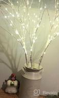 img 1 attached to Lighted Branches With 150 Warm White And Multicolor Fairy Lights, 8 Functions, 32 Inches - Perfect For Room And Christmas Holiday Decorations, By Hairui review by Jeremiah Butler