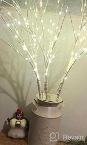 img 8 attached to Lighted Branches With 150 Warm White And Multicolor Fairy Lights, 8 Functions, 32 Inches - Perfect For Room And Christmas Holiday Decorations, By Hairui