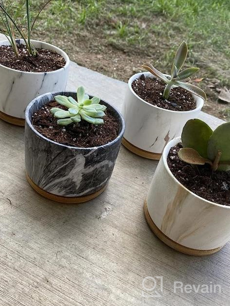 img 1 attached to Stylish And Practical Ceramic Succulent Planters With Drainage Tray - Set Of 4 By DeeCoo review by Andy Syla