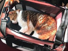 img 5 attached to Top Load Pet Carrier For Large, Medium Cats, 2 Cats And Small Dogs With Comfy Bed. Easy To Get Cat In, Escape Proof, Easy Storage, Washable, Safe And Comfortable For Vet Visit And Car Ride