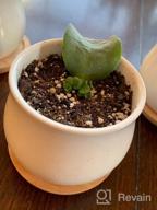 картинка 1 прикреплена к отзыву ZOUTOG 12 Pack Succulent Pots: Mini Ceramic Flower/Cactus Planters with Drainage Hole - Small pots for Plants (Plants Not Included) от Bart Schwalbe