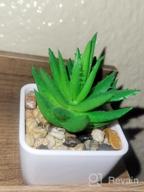 img 1 attached to 4Pcs Mini Plastic Succulents For Christmas Home Decor - Veryhome Artificial Faux Plants review by Mitchell Watson