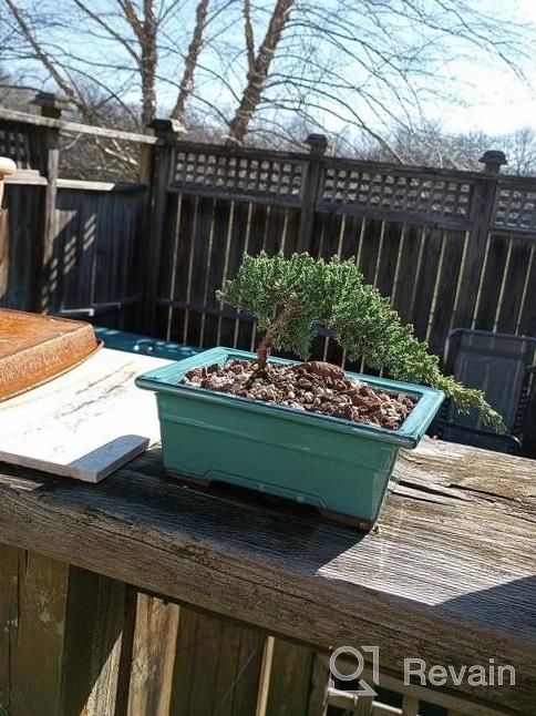 img 1 attached to Ceramic Bonsai Pots With Drainage - 7" Brown Unglazed Bonsai Planter - Used As Starter Bonsai Tree Pots Or As Succulent Planters - With Drainage Mesh Screen And Wire review by Mikey Somerville