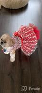 img 1 attached to Small Dog Dress Harness D-Ring Outfit Costume Bow Hair Rope Birthday Gift DT01L review by Jeremy Romero