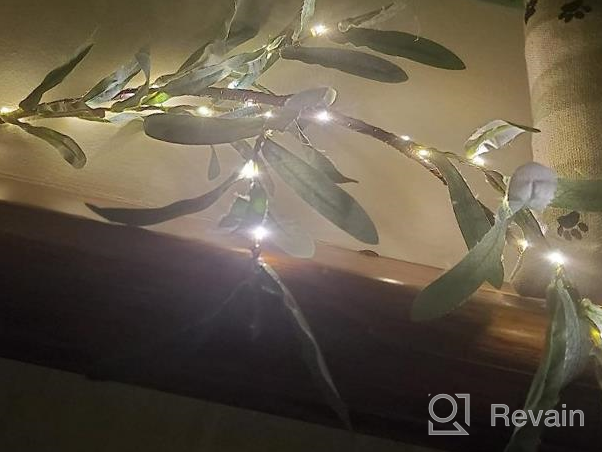 img 1 attached to 6FT 96 LED Battery Operated Eucalyptus Garland With Timer - Perfect For Spring Wedding Backdrop, Arch Wall Decor! review by Kristi Crooks