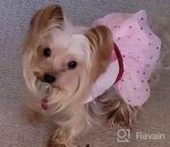 img 1 attached to KYEESE Pink Dog Dresses Valentine'S Day With Hearts Pattern Flowers Decor Elegant Princess Doggie Dress For Small Dogs Winter Spring Dog Apparel review by Jeffrey Shatzel