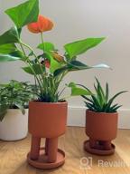 img 1 attached to Set Of 2 - 4.5" Terracotta Clay Plant Pots W/ 3 Legs & Saucer | Indoor Succulent Planters review by Dennis Wood