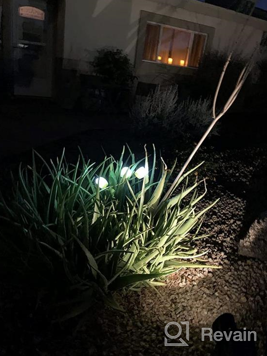 img 1 attached to Tulip Solar Garden Lights - Brighten Up Your Outdoor Space With Automatic Solar Flower Lights review by Cody Clark