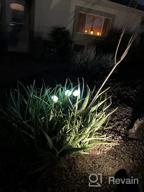 картинка 1 прикреплена к отзыву Tulip Solar Garden Lights - украсьте свое открытое пространство автоматическими солнечными цветочными фонарями от Cody Clark