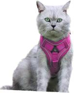 🐱 hassle-free cat harness and leash set - escape proof for walking logo