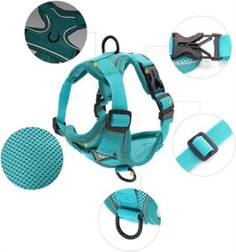 img 2 attached to 🐱 Hassle-Free Cat Harness and Leash Set - Escape Proof for Walking