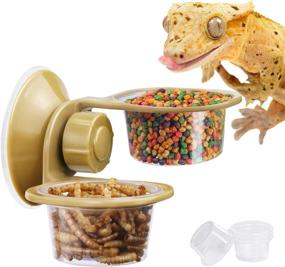 img 4 attached to 🦎 Fischuel Reptile Feeder - Chameleon/Lizard Feeding Cup with Suction Cup - Transparent Gecko Fodder Container, Includes 4 Plastic Bowls