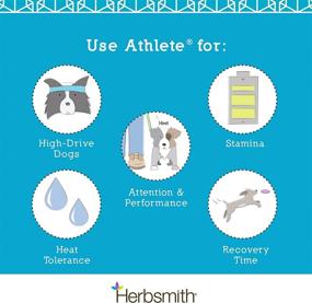 img 1 attached to Enhance Canine Performance: Herbsmith Athlete - Endurance Supplement for Working and Agility Dogs - 500g Powder