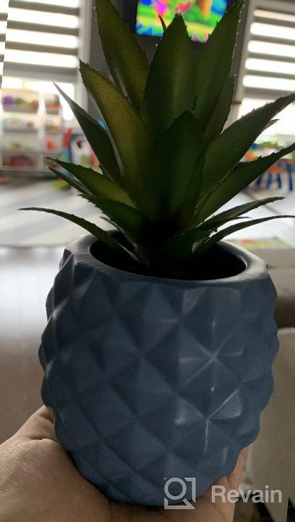 img 1 attached to 03 Blue Artificial Succulent Pineapple Decor - Perfect Home Office Kitchen Table Accent Piece review by Michael Baker