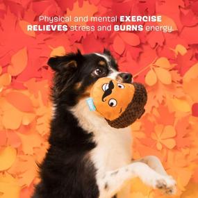 img 2 attached to Engage Your Pup'S Mind With Barkbox'S 2-In-1 Interactive Plush Puzzle Toys - Perfect For Small, Medium, And Large Dogs!